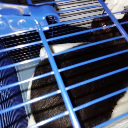 Luisa accertamenti prima dell'ingresso all'oasi