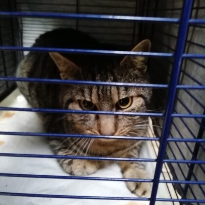 Luigi accertamenti prima dell'ingresso all'oasi