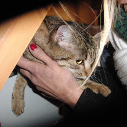 DICEMBRE 2013  MINU' prima sera con Silvia Gadani