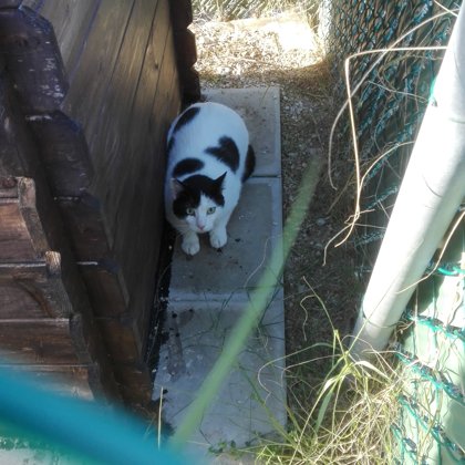 Novembre 2018, new entry