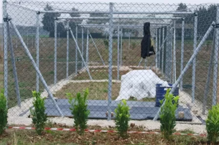 Recinti di ambientamento