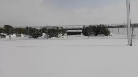 Febbraio 2018