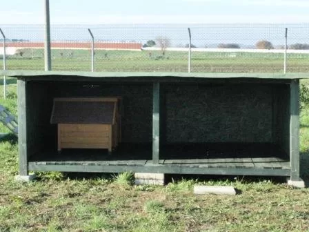 nuova struttura in legno