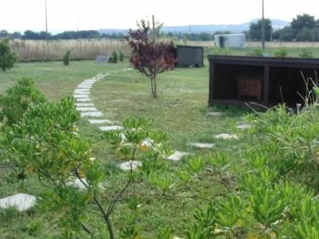 GIUGNO 2013