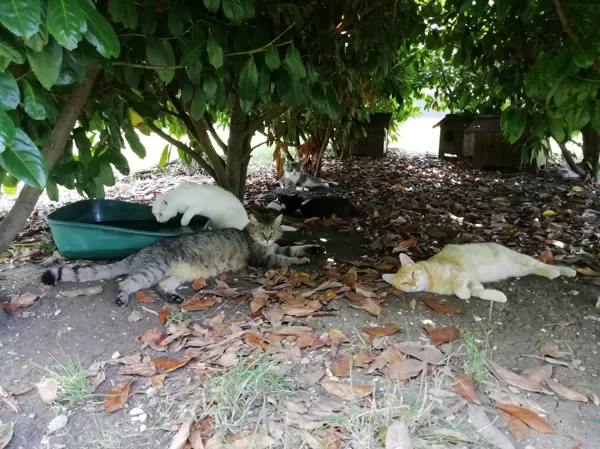 Luglio 2019