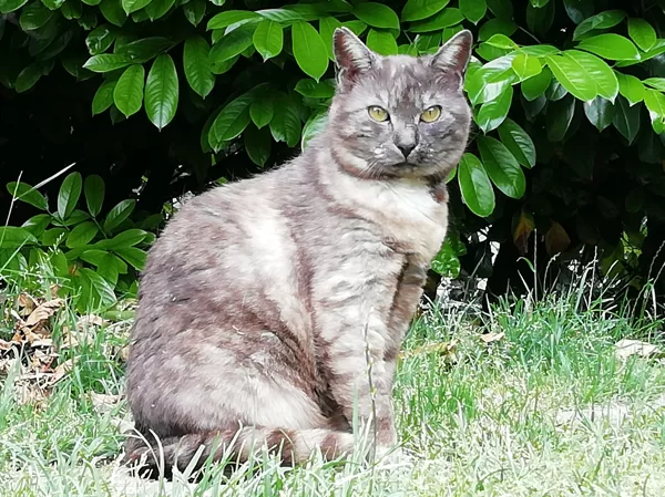 maggio 2021 Sara